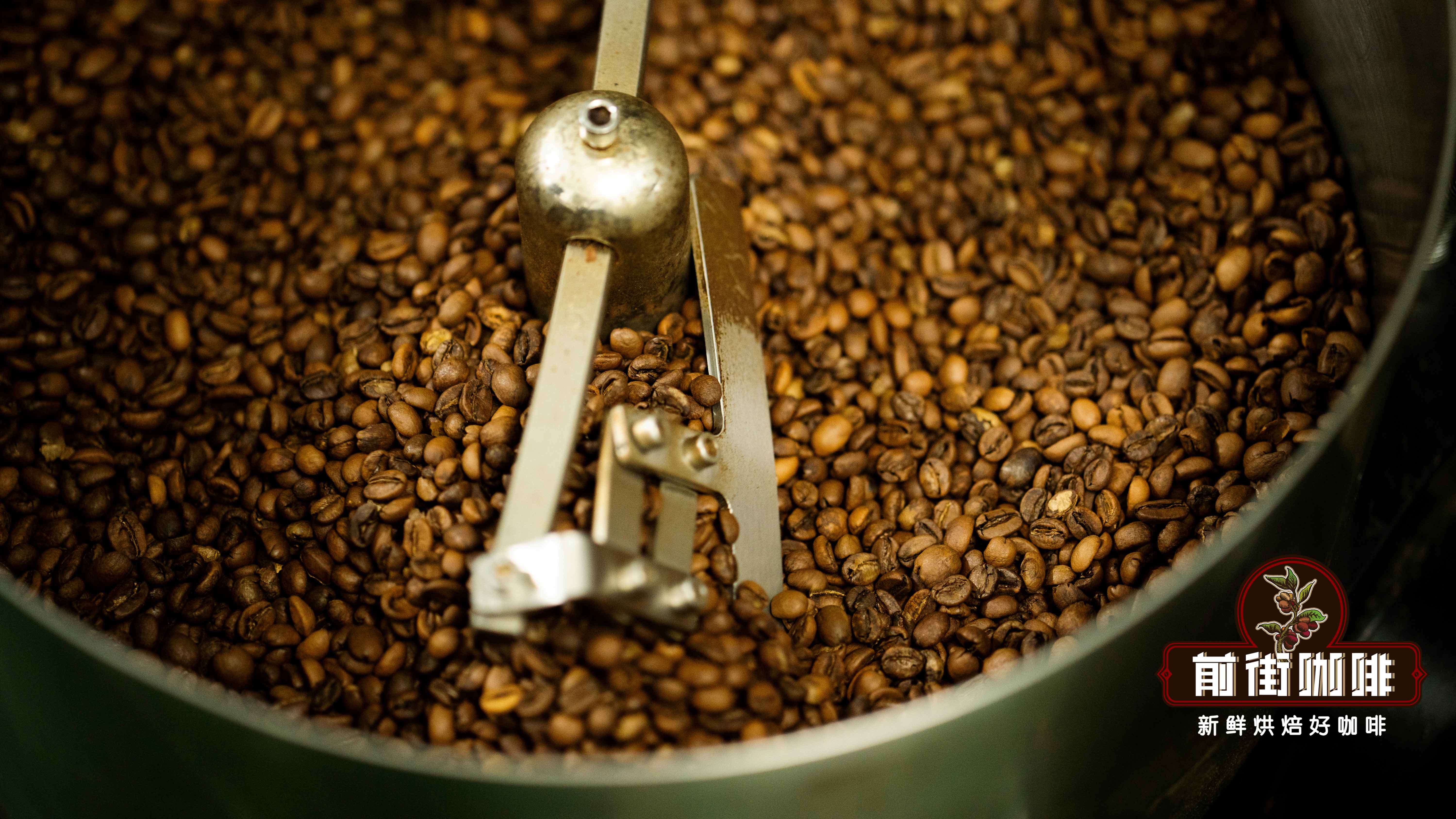 Cà phê Mocha | Cà phê Mocha pha phin và cà phê Mocha Ý khác nhau như thế nào? Hương vị của hạt Mocha Yemen là gì? Cà phê Mocha Ý được pha chế như thế nào?