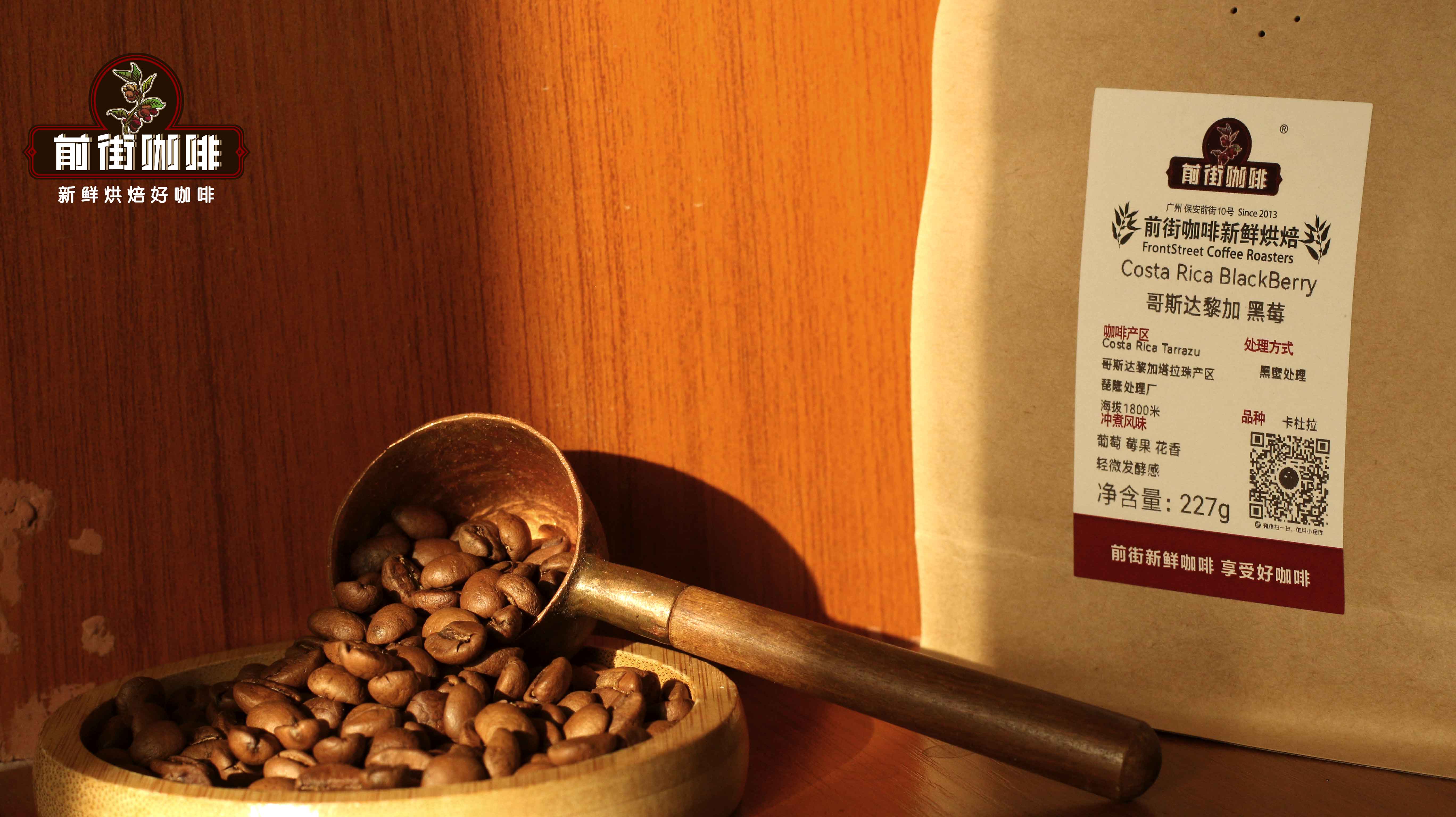 Chế biến mật đen｜Vì sao cà phê chế biến mật Costa Rica có vị ngọt cao? Những loại cà phê pour over chất lượng cao có hương vị quả mọng rõ rệt nào được đề xuất?