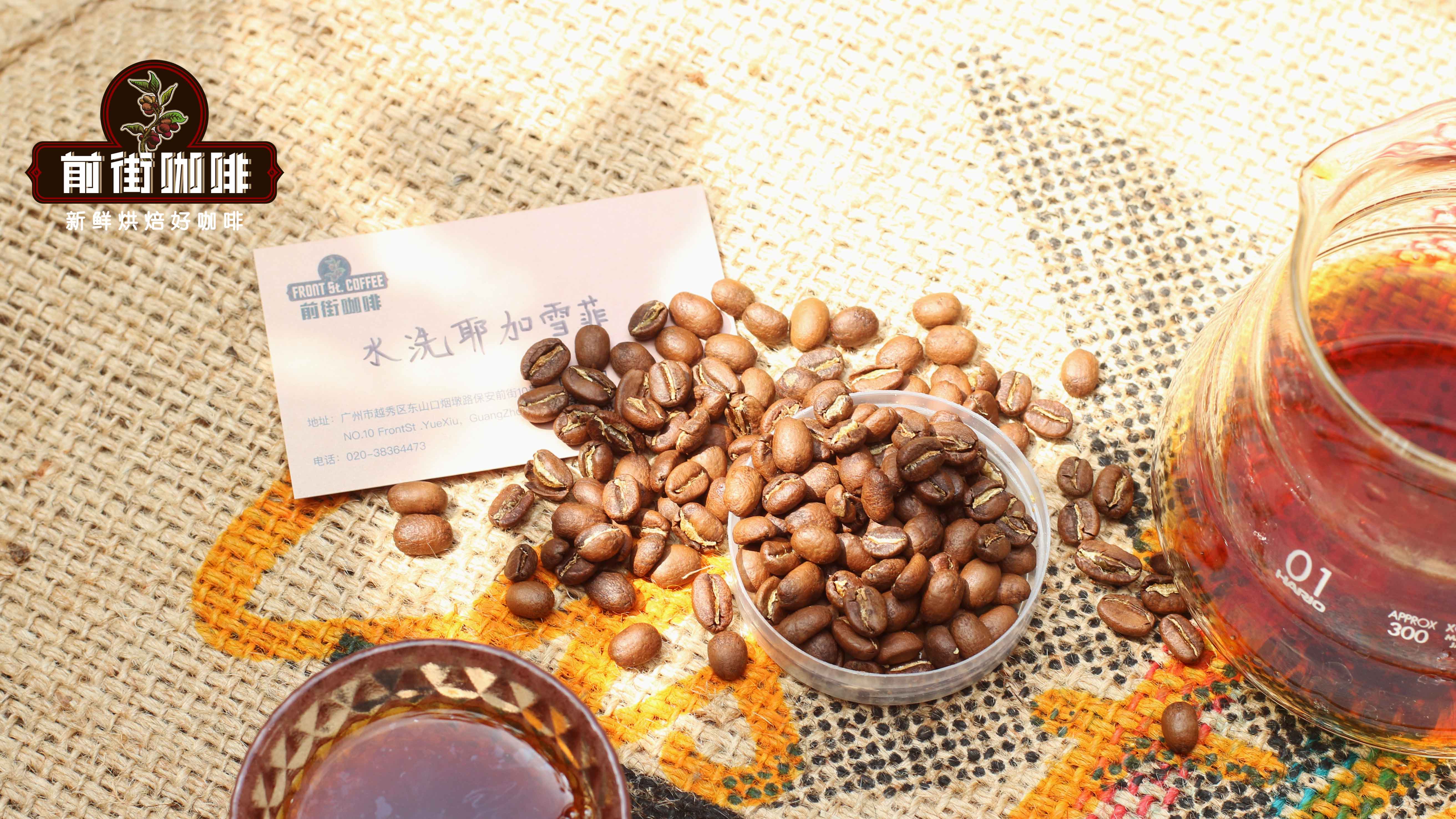 Tại sao Yirgacheffe là hạt cà phê Arabica specialty nhập môn? Cách chọn mua Yirgacheffe - hạt cà phê nhập môn Nữ hoàng Chanh Ethiopia Yirgacheffe