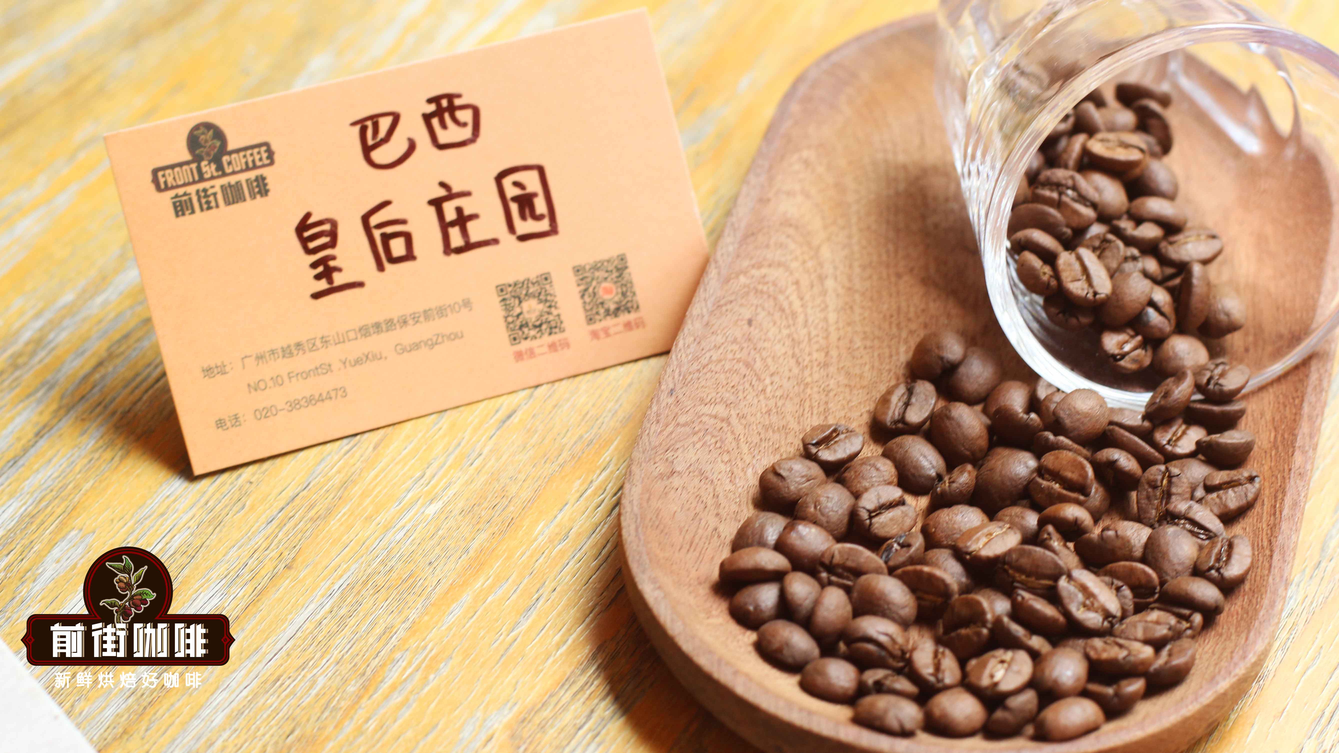 Cà phê hạt rang vừa COE Mogiana Queen Estate Natural COE cà phê đặc sản, cà phê hạt Brazil đạt giải hương vị hạt dẻ cân bằng