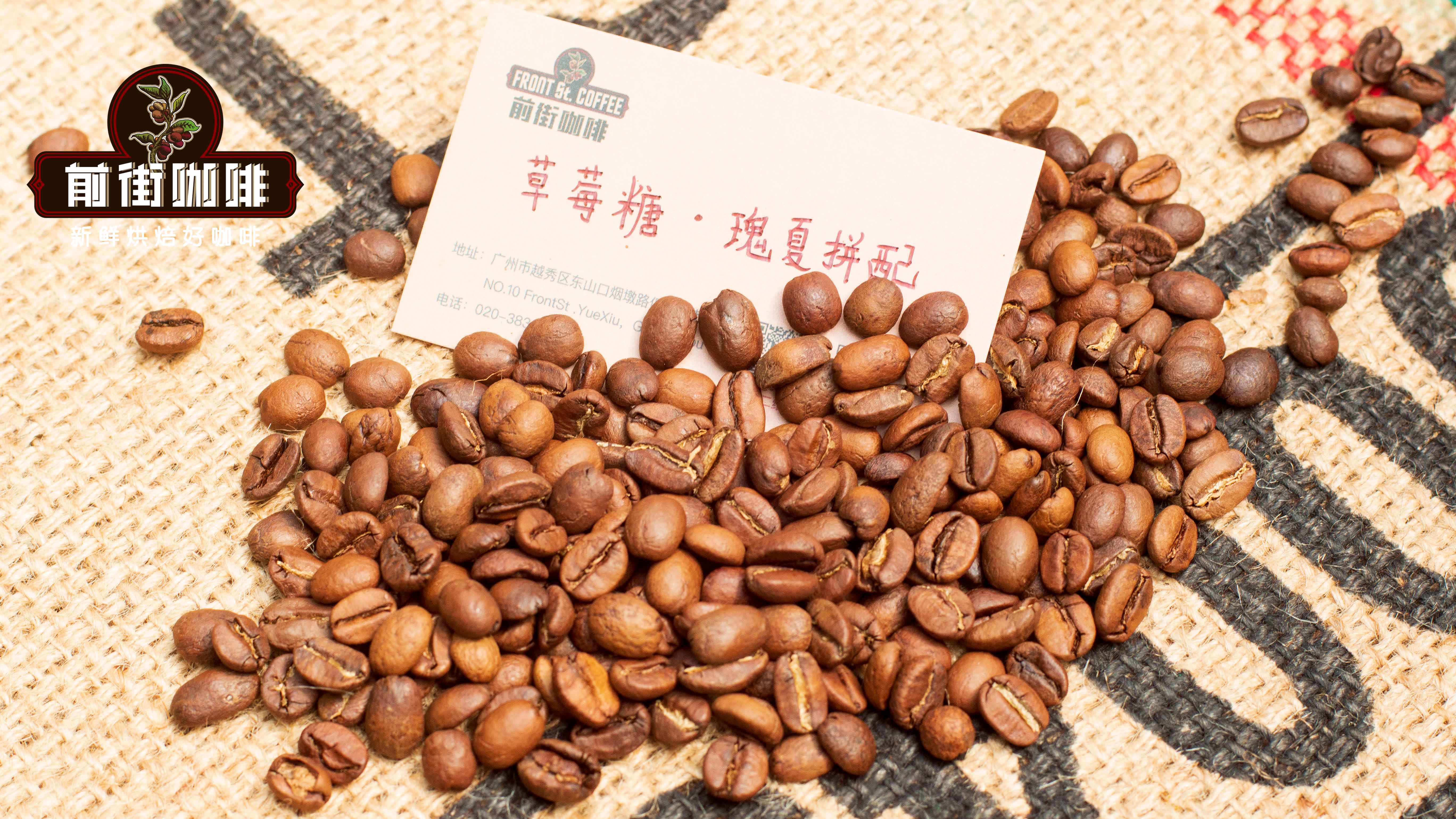Ấm Moka van đơn và ấm Moka van đôi, loại nào dùng tốt hơn? Tại sao ấm Moka van đôi có lớp crema phong phú hơn? Gợi ý cà phê rang trung độ không đắng không chát