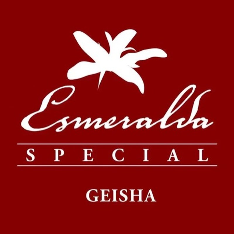 Panama Hacienda La Esmeralda Geisha Red Label rang xay cà phê nguyên chất cao cấp thủ công 100g