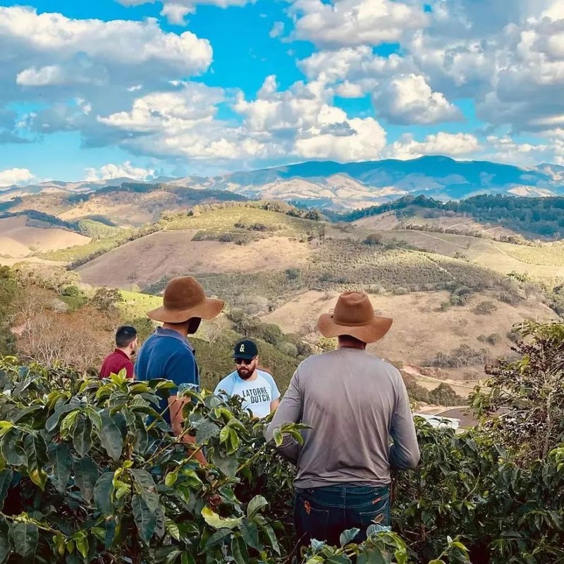 PNG Thiên Đường Điểu  Châu Đại Dương Papua New Guinea pha thủ công rang trung bình cà phê hạt đặc sản