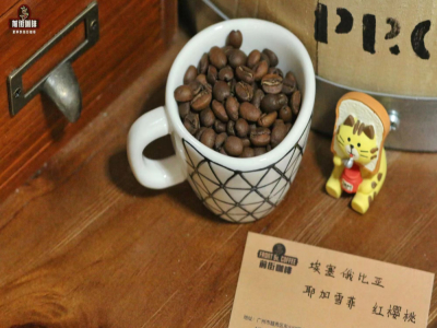 Nguyên lý chiết xuất cà phê bằng ấm siphon｜Làm thế nào để pha cà phê siphon ngon? Những loại hạt cà phê nào phù hợp để pha bằng ấm siphon?