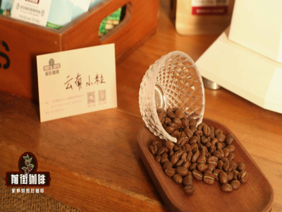 Mô tả tóm tắt đặc điểm hương vị, cảm giác trong miệng và hương thơm của hạt cà phê Robusta. Tại sao hạt Robusta tai tiếng vì tác hại. Nguyên nhân Robusta có nhiều dầu.