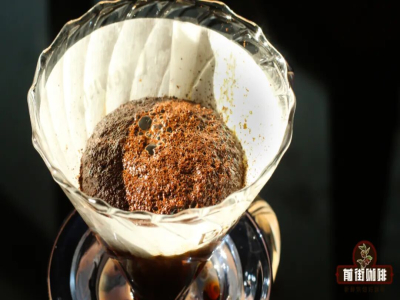 Ủ cà phê | Làm thế nào để đạt được «ủ hoàn hảo» khi pha cà phê pour-over? Điều chỉnh thời gian ủ cà phê pour-over dài ngắn như thế nào?
