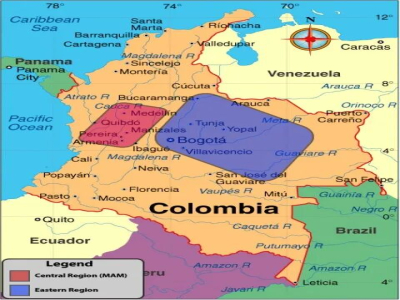 Cà phê Colombia｜Vùng trồng cà phê Colombia MAM nghĩa là gì? Cà phê specialty Colombia có những đặc trưng hương vị và khẩu vị nào?