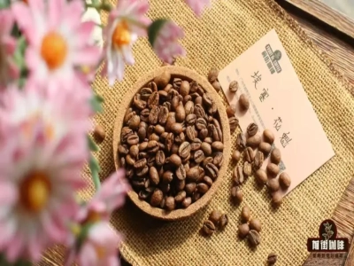 Ethiopia Sidamo chế biến khô Hoa Khôi｜Hoa Khôi hạt cà phê đơn nguyên liệu, Geisha, Nghệ Kỹ có phải cùng một giống cà phê không? Hoa Khôi và Geisha khác nhau như thế nào?