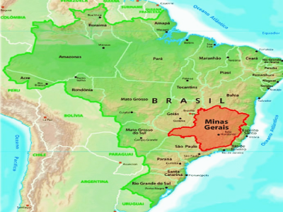 Đặc điểm cà phê Brazil｜Cà phê specialty Brazil đến từ vùng trồng nào? Brazil trồng giống cà phê gì? Pha chế cà phê Brazil Queen Estate Yellow Bourbon như thế nào?