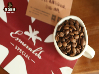 Phương pháp pha cà phê pour-over | Người mới bắt đầu pha cà phê pour-over nên chọn những loại cà phê single origin nào? Cách chiết xuất cà phê pour-over, kỹ thuật pha chế, giới thiệu dụng cụ pha cà phê