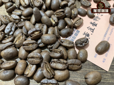 Thương hiệu cà phê hạt rang xay đặc sản pour-over | Cà phê hạt single origin đại diện cho từng vùng trồng cà phê trên toàn cầu là gì? Gợi ý 6 loại hạt pour-over chất lượng cao phù hợp cho người mới bắt đầu