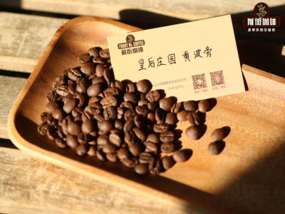 Cà phê espresso nguồn gốc đơn | Người mới bắt đầu nên chọn hạt cà phê SOE như thế nào để ngon? Gợi ý các loại hạt cà phê espresso nguyên bản SOE có hương vị độc đáo được yêu thích