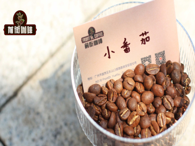 Hướng dẫn pha cà phê ủ lạnh | Chọn loại cà phê single origin nào để làm cà phê đá tại nhà? Gợi ý những loại cà phê specialty mà người sành cà phê chọn để pha cold brew