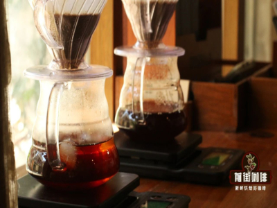 Những điều cần lưu ý khi dùng French Press｜Pha cà phê bằng French Press cần bao nhiêu cà phê hạt? French Press cho bao nhiêu bột cà phê? Cà phê French Press có nhiều dầu cà phê không?