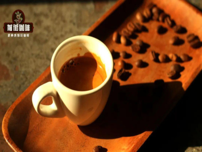 Định nghĩa cà phê SOE｜Vì sao hạt cà phê SOE đắt hơn hạt phối trộn espresso? Hạt SOE và hạt espresso khác nhau thế nào? Cà phê SOE có những đặc điểm gì?