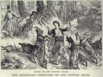 Cà phê hạt Kaffa Forest Ethiopia | Kaffa Forest có sản xuất hạt cà phê Geisha nguyên bản không? Đặc trưng hương vị và cảm giác khi pha cà phê pour-over Kaffa Forest là gì?
