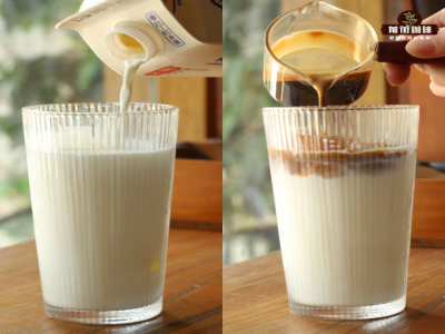 Cà phê latte SOE｜Cà phê hạt SOE được chiết xuất espresso như thế nào? Tỷ lệ sữa để tự làm cà phê latte SOE tại nhà là bao nhiêu? Cà phê latte nóng nên chọn loại cà phê hạt Ý nào?