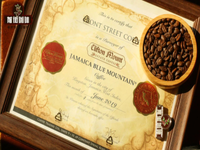 Gợi ý cà phê hạt pha phin đậm đà không chua｜Blue Mountain có phải là Arabica không? Người mới làm sao mua được hạt cà phê single origin Blue Mountain Jamaica ngon và chính hãng?
