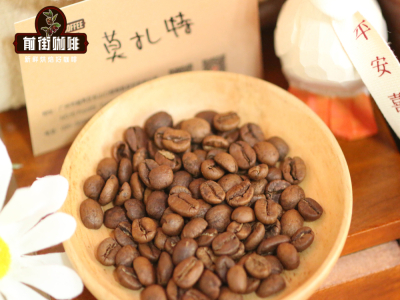 Giới thiệu mười quốc gia sản xuất cà phê hàng đầu thế giới | Cà phê nước nào ngon mà không đắng? Những loại hạt cà phê rang xay thủ công đặc sản nào được giới mộ điệu cà phê lâu năm ưa chuộng nhất?