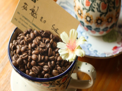 SOE cà phê espresso đơn nguyên liệu｜Những loại hạt cà phê pour-over đơn nguyên liệu nào phù hợp để làm cà phê SOE? Cà phê pour-over đơn nguyên liệu và espresso đơn nguyên liệu có những điểm khác biệt nào?