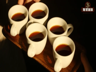 Yêu cầu về môi trường sinh trưởng của hạt cà phê specialty là độ cao lớn Sự khác biệt giữa hạt cà phê Robusta và Arabica Dầu mỡ phong phú Đề xuất Robusta