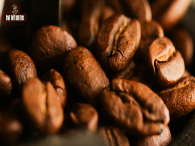 Espresso như thế nào mới là cà phê ngon? Tại sao espresso luôn có vị khét? Loại hạt cà phê Ý nào có vị ngọt cao?