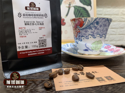 Câu chuyện nguồn gốc của Geisha｜Vì sao cà phê Geisha/Nghệ Kỹ lại đắt đến vậy? Những loại cà phê hạt rang pour-over Geisha chất lượng cao nào đáng để người mới mua
