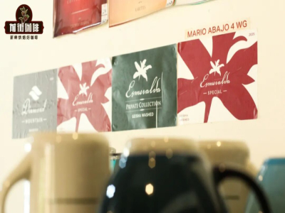 Cà phê Panama Hacienda La Esmeralda Geisha | Sự khác biệt giữa Geisha Red Label và Geisha Green Label (Geisha) hạt cà phê? Hacienda La Esmeralda phân loại cà phê Geisha như thế nào và nguồn gốc của việc phân hạng?