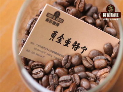 Hướng dẫn cơ bản cho người mới dùng ấm Moka | Cách chọn hạt cho ấm Moka Bialetti? Gợi ý 3 loại hạt cà phê chất lượng cao dùng cho ấm Moka, dễ thành công, ngon mà không đắt