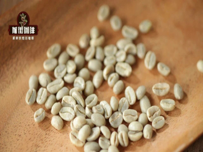 Đặc điểm hương vị các vùng trồng cà phê｜Đặc điểm hương vị cà phê châu Phi, Trung Nam Mỹ, châu Á và hải đảo là gì? Những loại cà phê hạt specialty pha phin thủ công thân thiện với người mới, giá hợp lý đáng thử là gì?