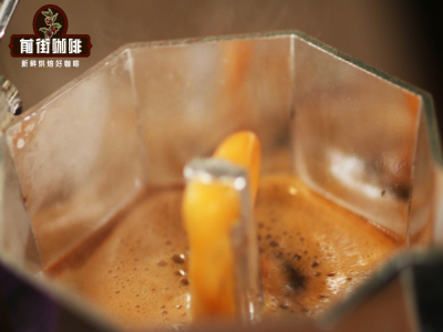 Mẹo chọn hạt cà phê cho bình Moka | Những loại hạt nào pha bằng bình Moka không chua không đắng? Gợi ý hạt cà phê specialty rang vừa đến đậm, lớp crema dày, ngon không chát, có hậu ngọt