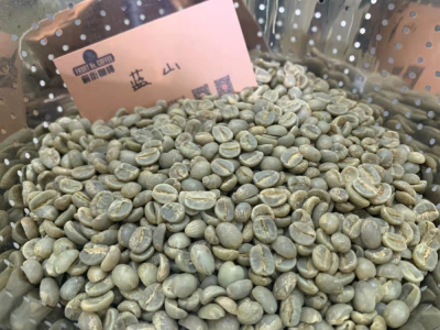 Mô tả hương vị cà phê Blue Mountain với hương hạt dẻ đậm đà - Giới thiệu đặc điểm hương vị và giá cả của hạt cà phê Blue Mountain specialty - Tám phương pháp chuyên nghiệp để kiểm tra hạt cà phê Blue Mountain