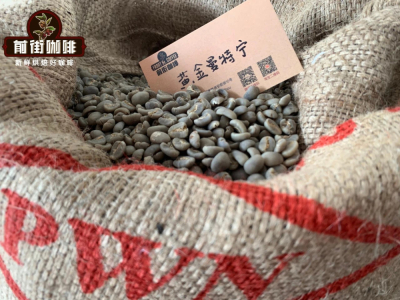 Thông số pha cà phê Mandheling bằng phương pháp pour-over | Golden Mandheling là gì? Hạt cà phê Golden Mandheling có đặc điểm hương vị và cảm giác trong miệng như thế nào? Làm sao để nhận biết Golden Mandheling PWN chính hãng?