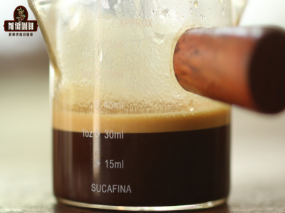 Đặc điểm hương vị Espresso | Uống Espresso thế nào cho đúng? Hàm lượng caffeine trong cà phê espresso là bao nhiêu? Gợi ý thương hiệu hạt cà phê espresso
