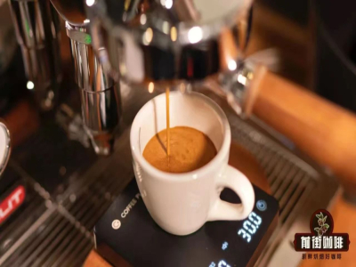 Hướng dẫn nhập môn bình Moka | Làm thế nào để pha espresso chuẩn quán cà phê tại nhà bằng bình Moka? Gợi ý 4 loại hạt cà phê uống hằng ngày cho bình Moka ngon, có lớp crema