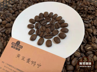 Hạt cà phê khẩu phần cho người mới bắt đầu｜Người mới học pha cà phê pour-over nên chọn hạt như thế nào? Gợi ý các loại hạt cà phê single origin rang nhạt, rang vừa, rang đậm vừa ngon vừa tiết kiệm để pha pour-over