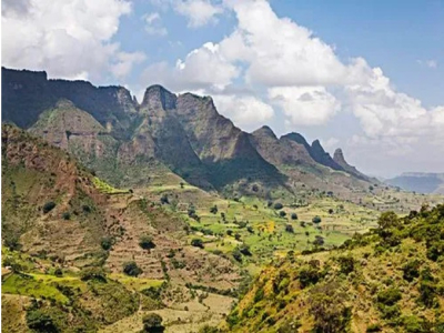Cà phê Yirgacheffe|Giới thiệu hương vị và vùng trồng cà phê Yirgacheffe Ethiopia rang vừa nhạt
