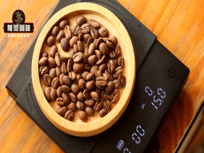 Hướng dẫn kỹ thuật rót nước ba giai đoạn cho cà phê pour over | 15g bột cà phê pour over pha với bao nhiêu nước? Người mới bắt đầu làm cà phê pour over một phần như thế nào?