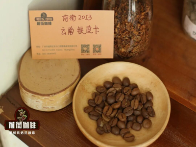 Cà phê hạt nhỏ Vân Nam Catimor và Typica | Giống Catimor là Arabica hay Robusta? Cà phê Catimor Vân Nam có những đặc điểm hương vị nào?