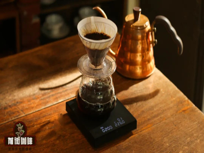 Cà phê Colombia | Cà phê rốn to là gì? Rốn to có phải là một giống cà phê không? Cà phê rốn to từ Finca La División của Colombia có những đặc điểm hương vị nào?