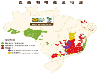 Các khu vực sản xuất cà phê chính của Brazil | Tiêu chuẩn phân loại cà phê nhân xanh của Brazil là gì? Mô tả hương vị cà phê hạt Brazil như thế nào?