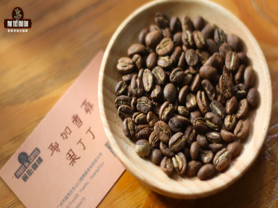 Thông số chiết xuất pour-over cho cà phê rang nhạt｜Cà phê hạt rang nhạt chỉ có vị chua? Gợi ý 5 loại cà phê hạt specialty rang nhạt giàu hương trái cây cho pour-over