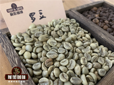 So sánh toàn diện giữa Arabica và Robusta Giới thiệu hạt cà phê espresso pha trộn Robusta và Arabica