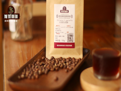 Vùng trồng cà phê Yirgacheffe | Vì sao cà phê Ethiopia đa phần được chế biến ướt? Những loại cà phê hạt rang nhạt pha pour-over chọn lọc thân thiện với người mới có gợi ý nào