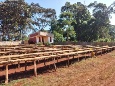 Giới thiệu hạt cà phê Ethiopia - Cà phê nhập môn hàng ngày Yirgacheffe chế biến tự nhiên giá bao nhiêu - Yirgacheffe Red Cherry rang nhạt có hương thơm gì