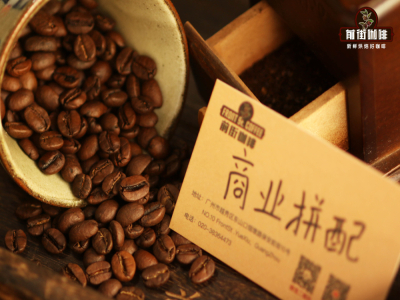 Tại sao hầu như tất cả các quán cà phê đều có món bán chạy TOP 1 là latte? Latte là gì? Loại hạt cà phê nào làm americano latte không đắng và có độ ngọt cao?