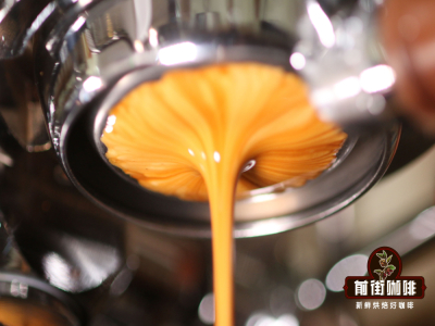 Gợi ý hạt cà phê chuyên dụng cho latte art | Hạt cà phê espresso giàu crema có đặc điểm gì? Những yếu tố nào ảnh hưởng đến crema cà phê?