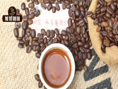Cà phê Mandheling có đặc điểm gì? Cà phê Mandheling cao cấp PWN, G1 và Golden Mandheling uống như thế nào?