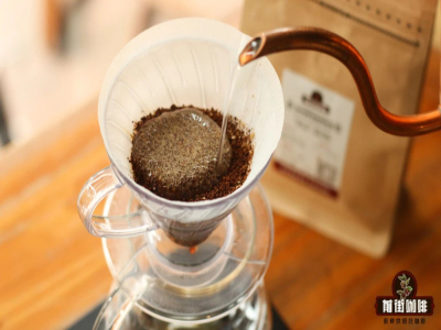 Không có bình cold brew thì pha bột cà phê như thế nào? Túi cà phê drip có thể làm cold brew không? Thời gian bảo quản cà phê cold brew - Gợi ý các loại túi drip đa hương vị
