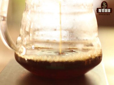 Nguyên nhân và cách khắc phục khi cà phê pour-over không ngon Tại sao cà phê pha ra lại rất chua/rất chát/rất đắng?